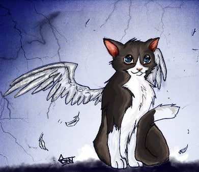 Cat_with_wings