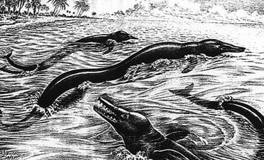 Рисунок Базилозауруса (1950-е годы).